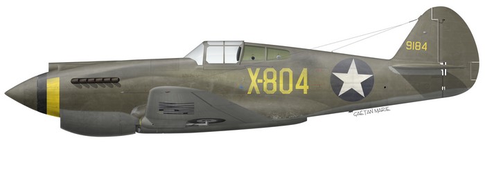 US, P-40-CU, 39-184, X-804, Luke Field